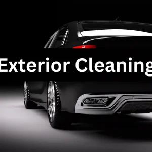 Exterior Cleaning